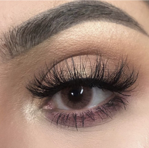 Fawn Contact Lenses